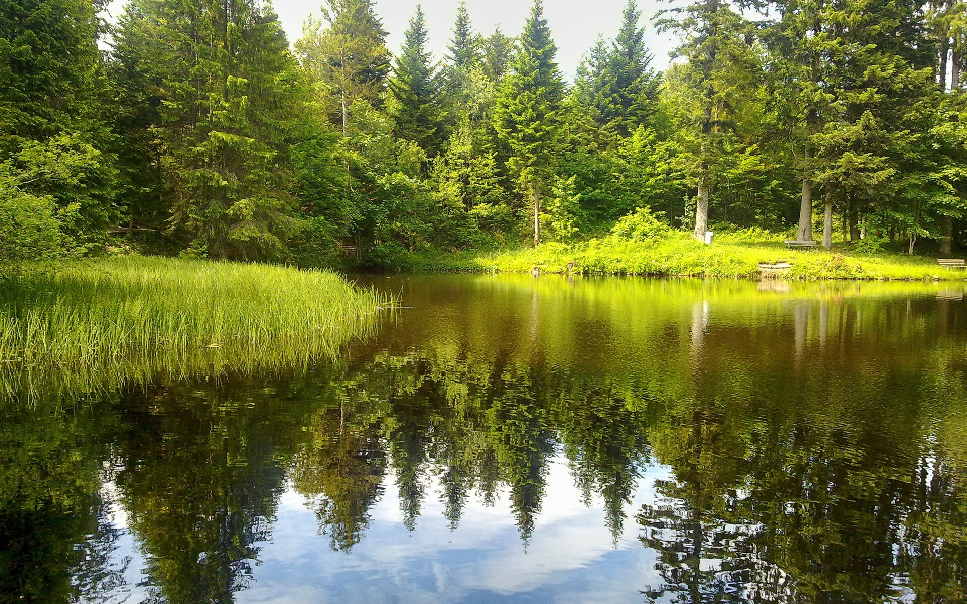landscape forest lake nature reflection river wilderness pond swamp nature reserve wetland tree autu