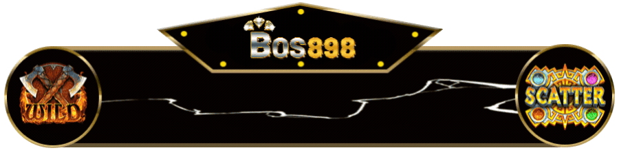 BOS898