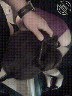 GIF Image