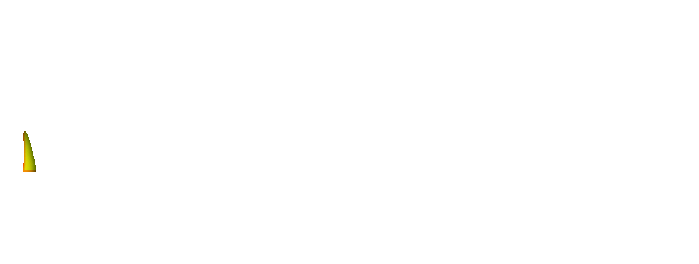 HOTELBET