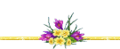 line (181)