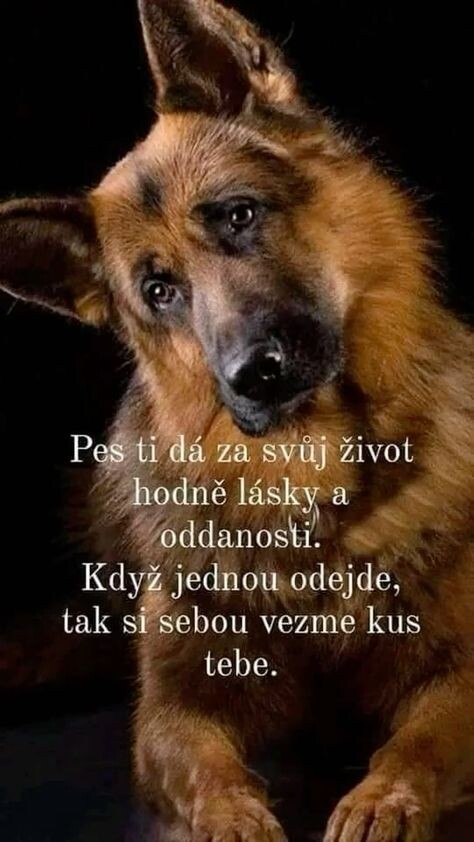 caa9e35237910c9bf4d6270244f025bb