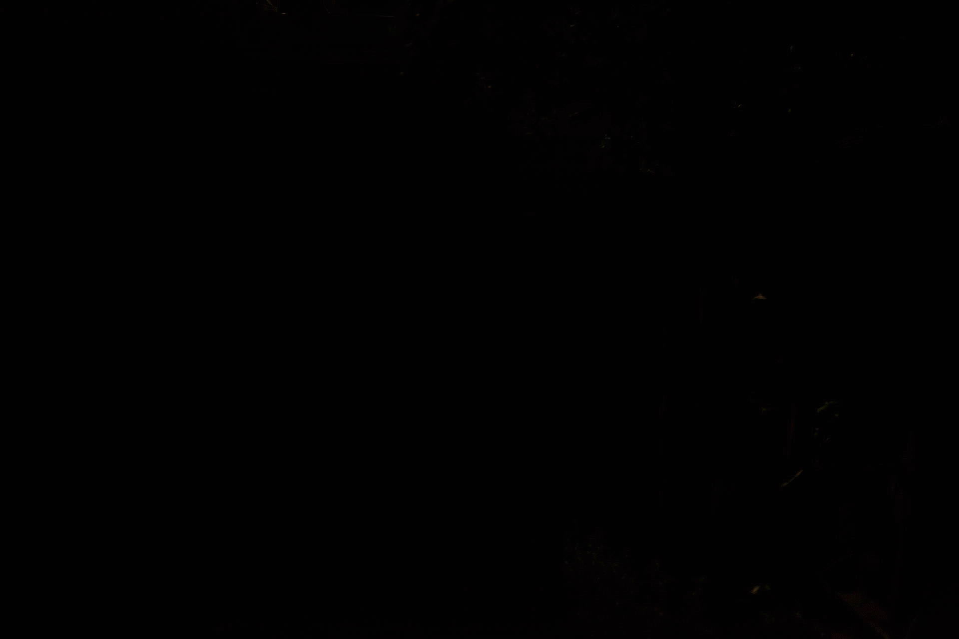 blGiI.gif