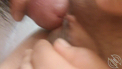 GIF Image