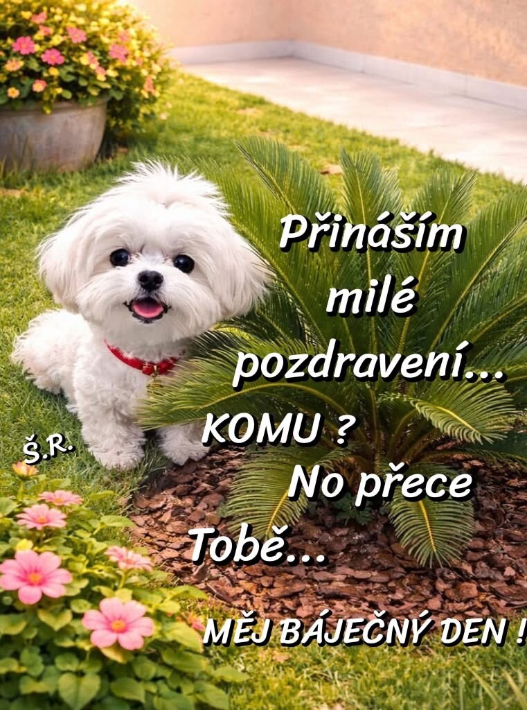 4354a9dc21f9f148dacb97e51ac2ef9b