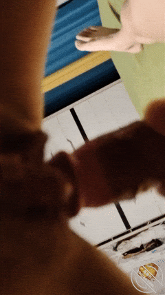 GIF Image