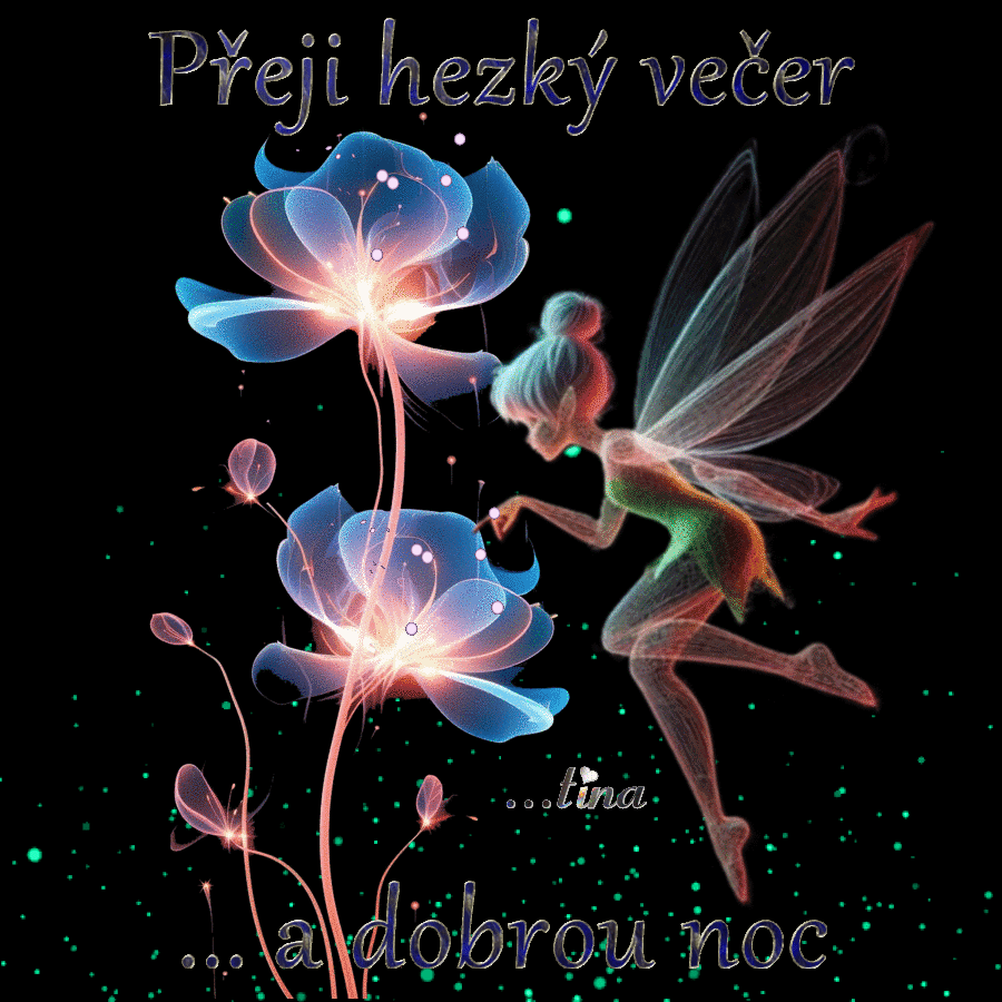 VN