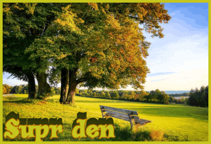 supr den