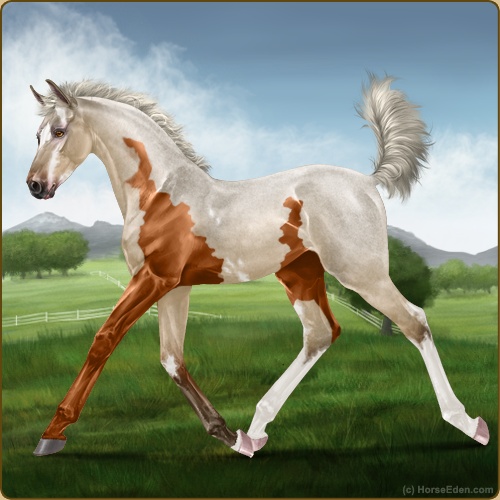 TBP Juniper Luck