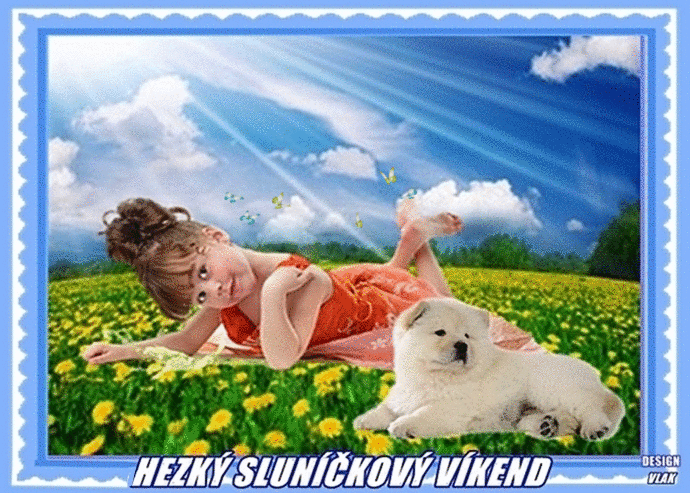An den Beitrag angehängtes Bild: https://s13.gifyu.com/images/bls9T.gif