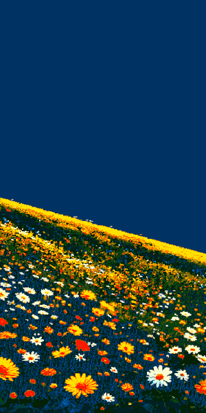 https://s13.gifyu.com/images/blwwv.gif
