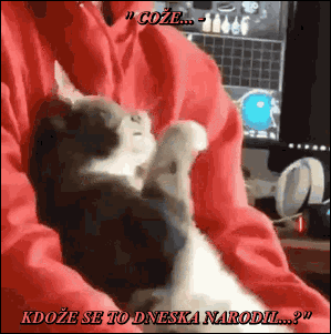 znk66RvSobzW
