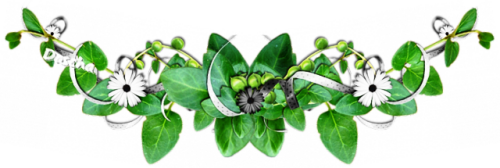 1.L zelená 5 sp
