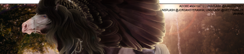 bm7JN.png