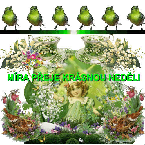 MIRA NEDELE