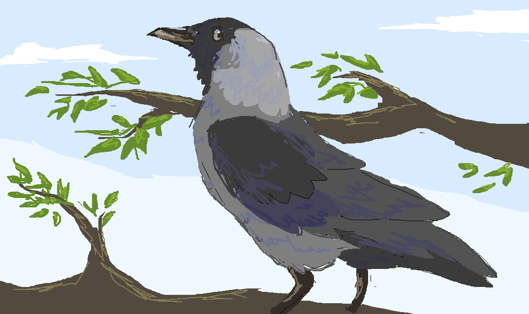 bm8gI.png