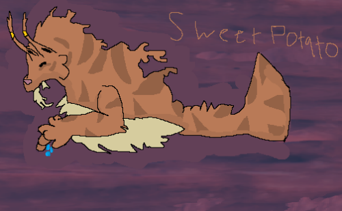 Sweet potato