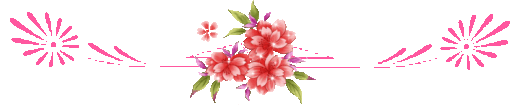 oie overlay
