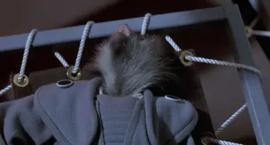 tumblr ad9859e6e037e3d02d81a1432812a12f 75adc810 400