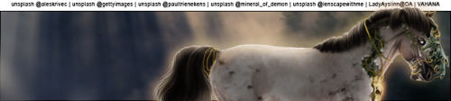bmHqm.png