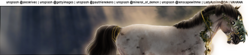 bmHqv.png