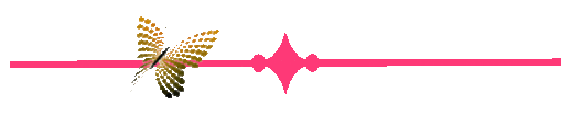 oie overlay.gif (1)