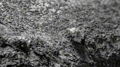 https://s13.gifyu.com/images/bmKi7.gif