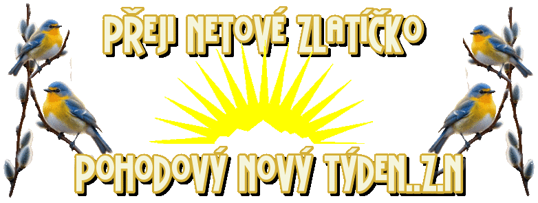 bmL9v.gif