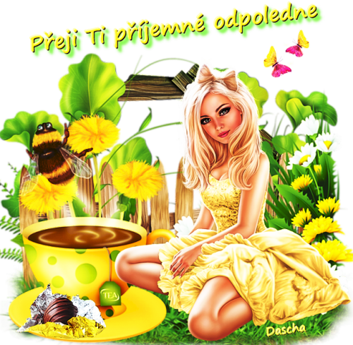 odpoledne 7