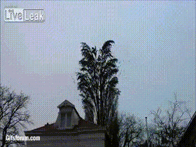 https://s13.gifyu.com/images/bmPkd.gif