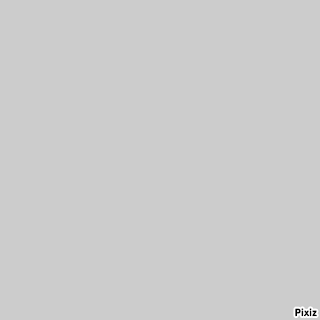 bmPp8.gif