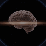 bmRDp