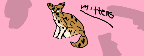 Mittens!