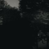 bmSJ8