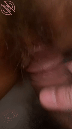 GIF Image
