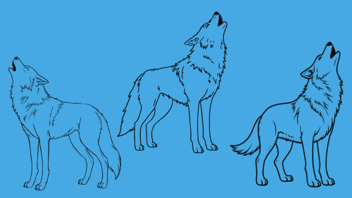 backgrounds (2)