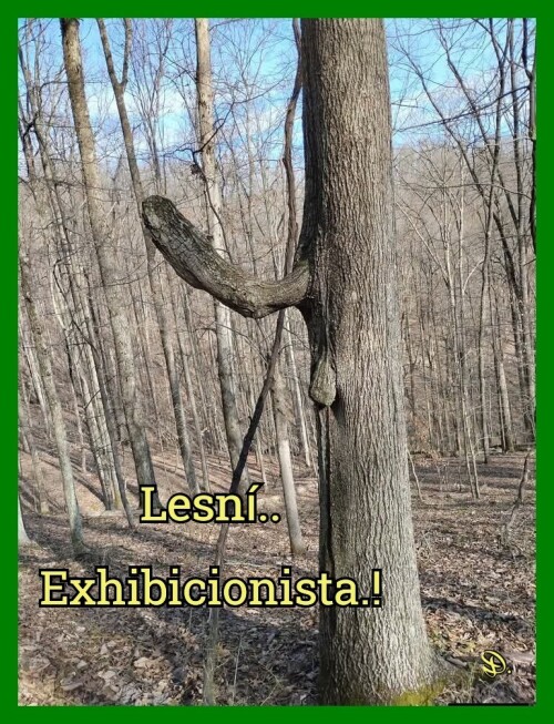 1mJwSDeFk7Es