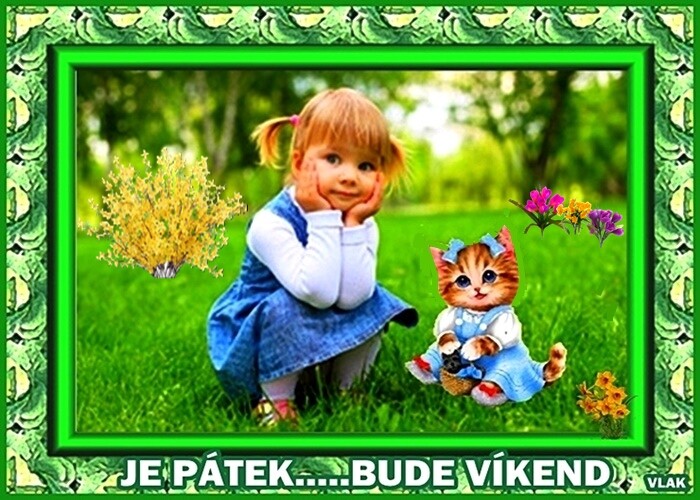 An den Beitrag angehängtes Bild: https://s13.gifyu.com/images/bmYv6.jpg