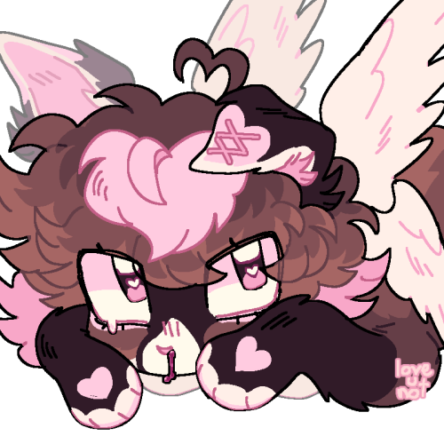 bmbdd.png