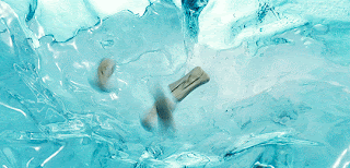 bmcG7.gif