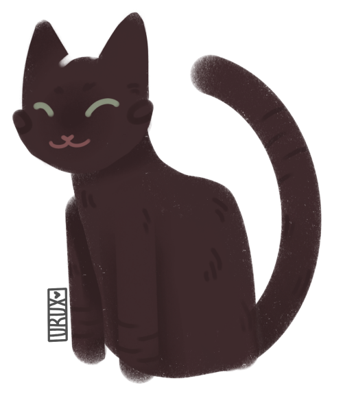 bmcSe.png