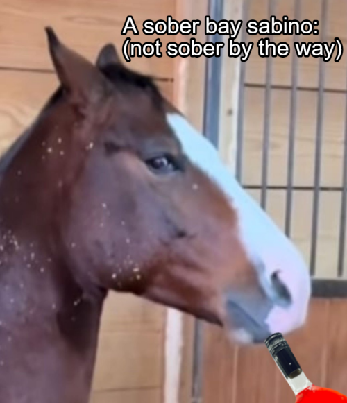 2026 04 02 0rm Kleki