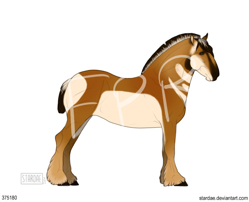 bmkMd.png