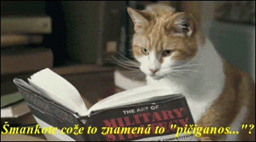 bmkiL.gif