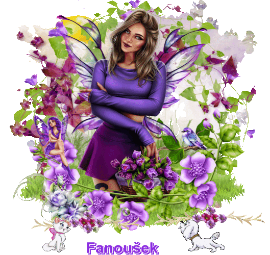 fanoušek (3)
