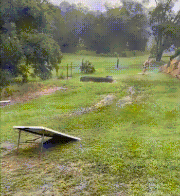 FAILs Men 02 02 26 44 4