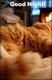 bmmq2.gif