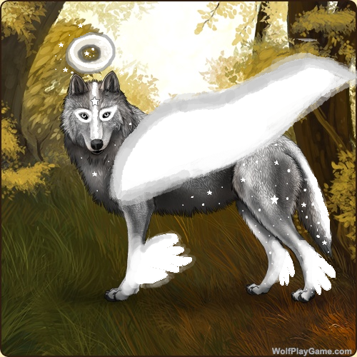 Wolf Play Angelic Gear