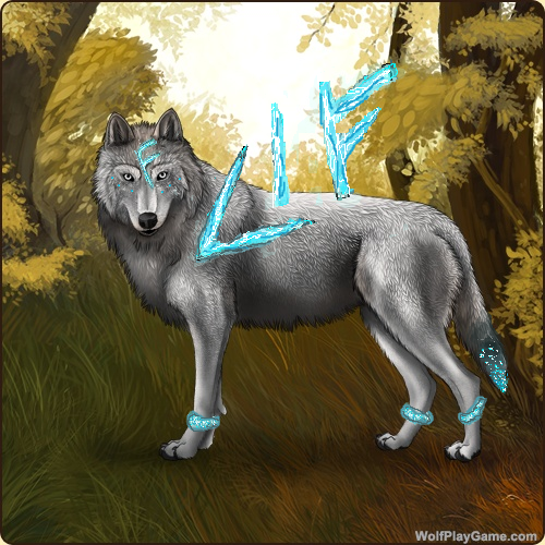 Wolf Play Blue Rune Mage Gear