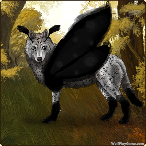 Wolf Play Black Moth Gear